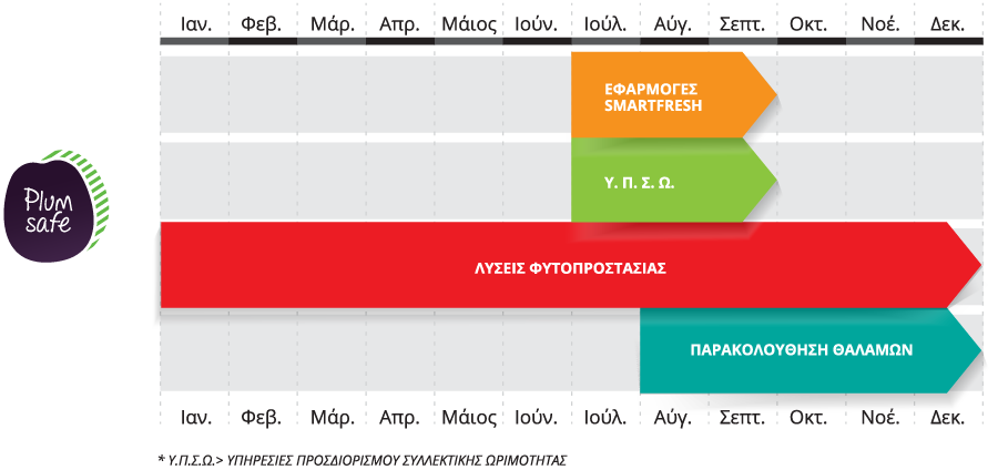 Πίνακας προσδιορισμού συλλεκτικής ωριμότητας, Δαμάσκηνα